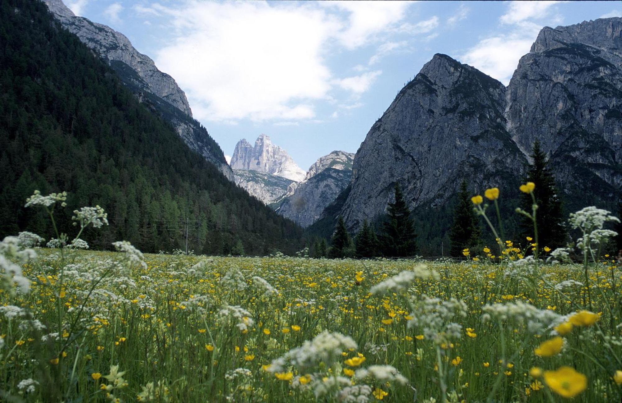 Stauder Toblach