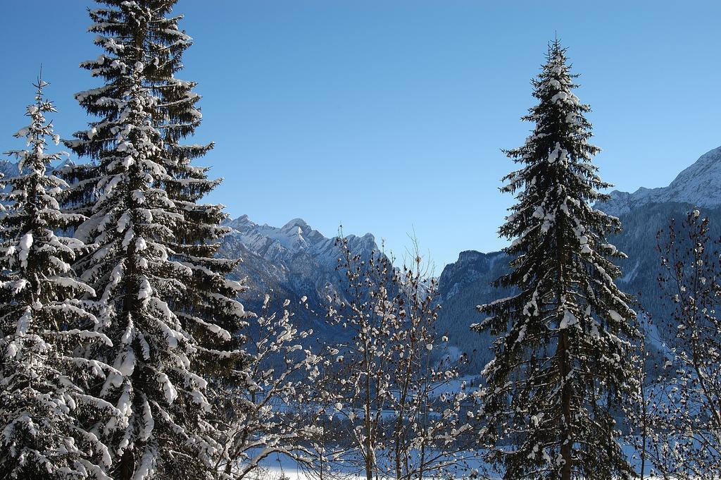 Stauder Toblach